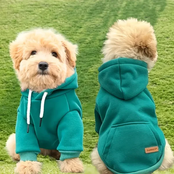 Sudadera de perro pequeño