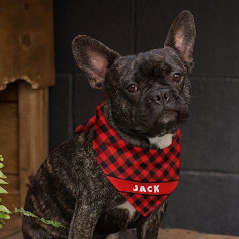 COLLAR CON BANDANA PARA MASCOTAS